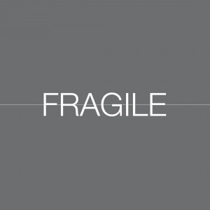 FRAGILE Catalog Launch and AGM 2019 FRAGILE Catalog Launch and AGM 2019