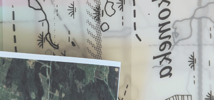Progress in slow motion: the fallowing era at Le Labo Progress in slow motion: the fallowing era at Le Labo