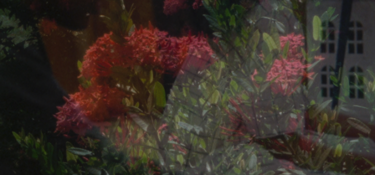 Exposition – En bas mes amours| Miryam Charles