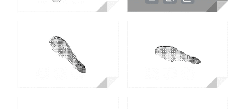 S4M4R3S | Exposition avec le collectif AENL