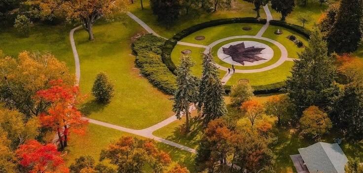 Flânerie à High Park | Création de teintures végétales Flânerie à High Park | Création de teintures végétales